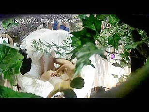 2024 IPCAM 酒店性爱偷窥视频流出 IPCAM Chinese Hotel IP Sex Voyeur Porn Video Leaked (531)