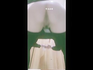 Korean Sexy Girls Public Toilet Hidden Cam Voyeur Leaked 26-05-2024 (8)